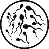 Bewusstem Samenklima