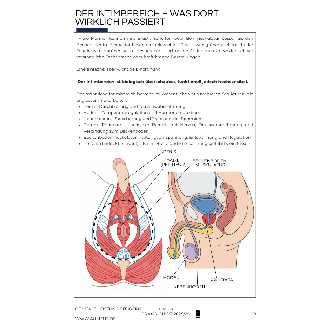 GENITALE LEISTUNG STEIGERN