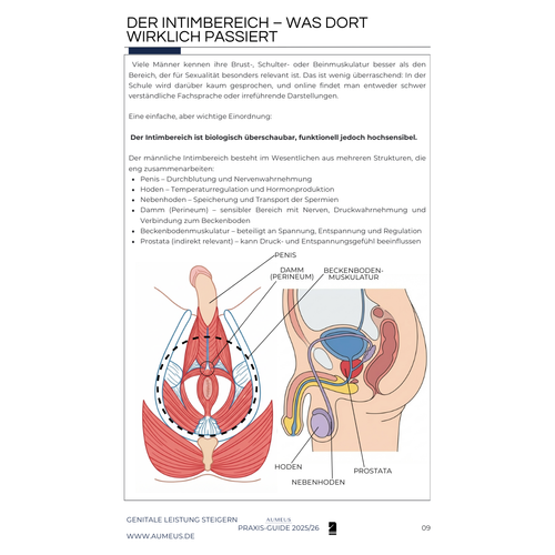 GENITALE LEISTUNG STEIGERN