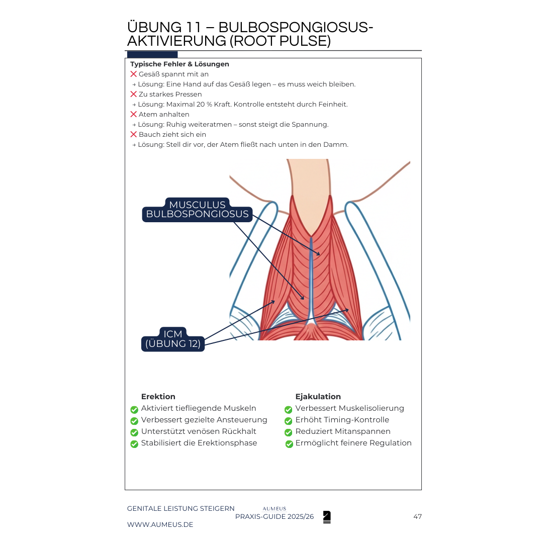 GENITALE LEISTUNG STEIGERN