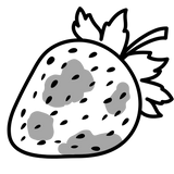 Natürliche Verwesung