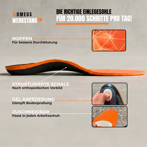 WERKSTAND™